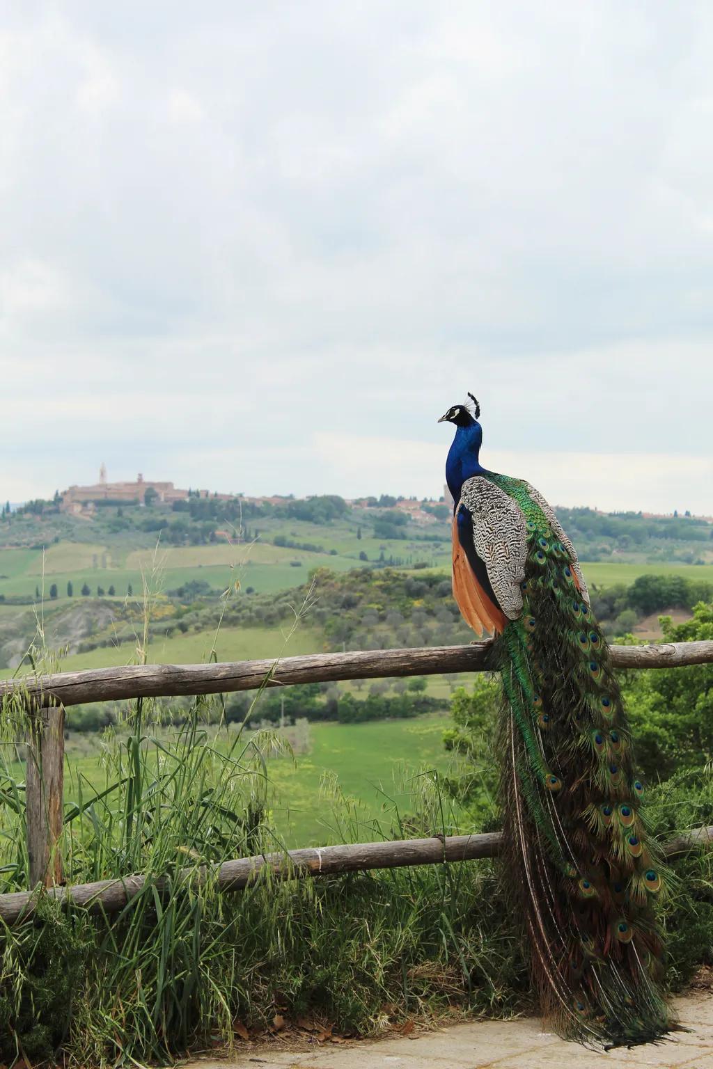 Immagine di Giorgia per lo spot 141