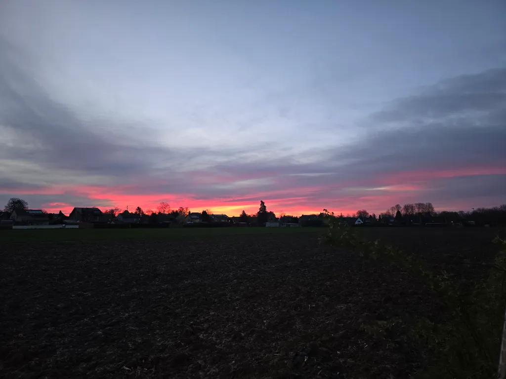 Die Streuobstwiese