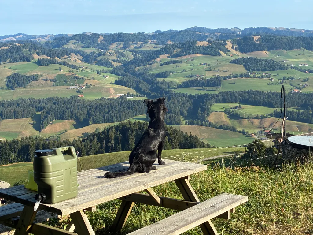 Bild von Eduard für den Spot 376