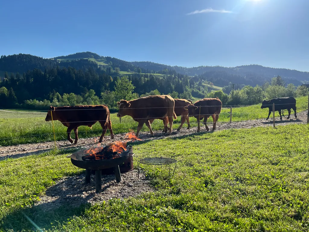 Bild von Maevel für den Spot 1141