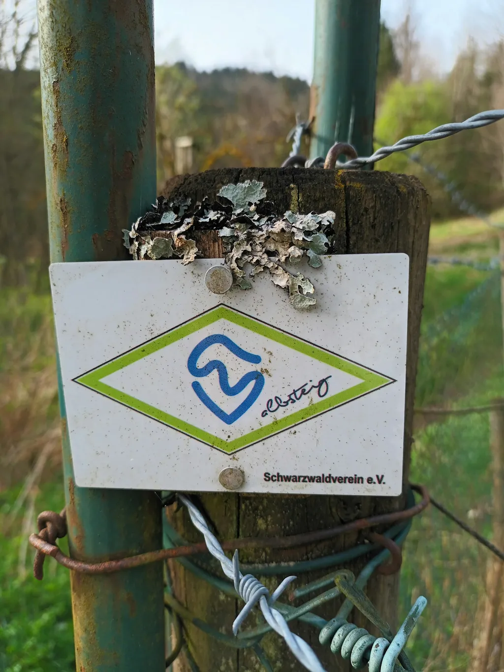 #hikersparadies in St. Blasien