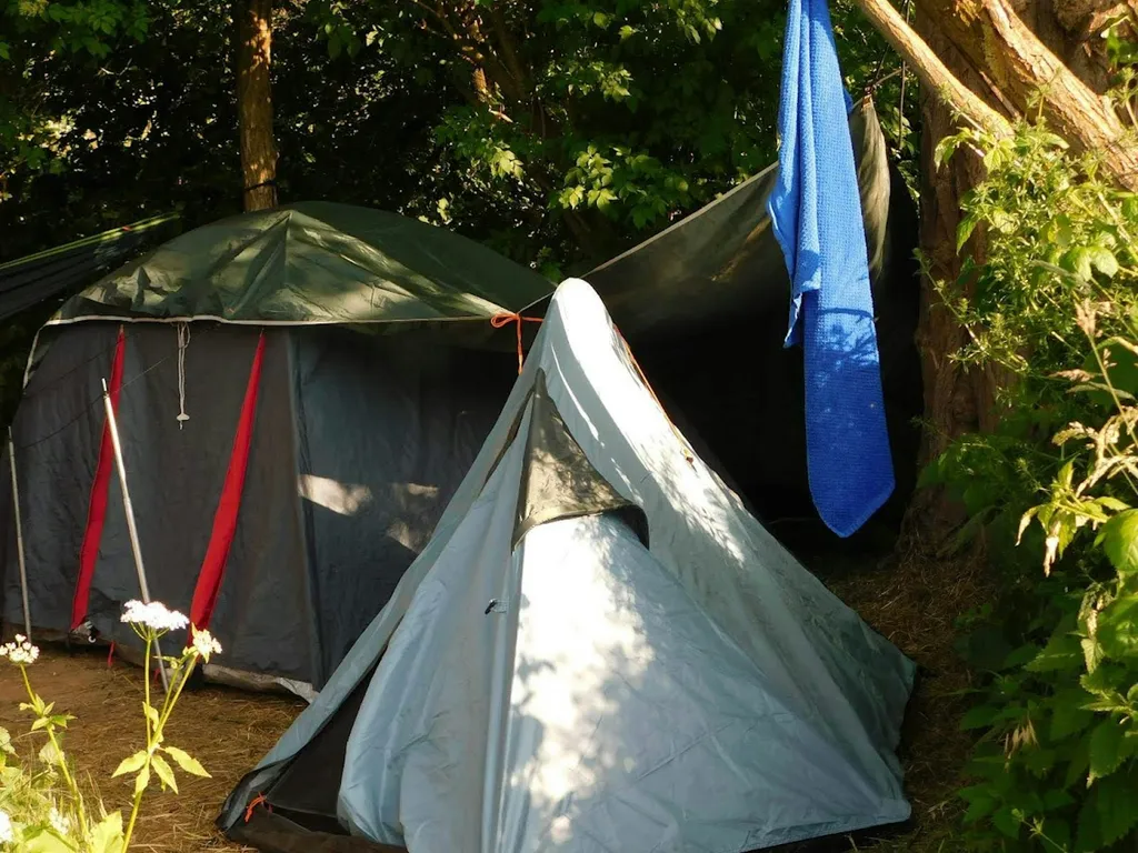 Zeltplatz mit direktem Ahrblick