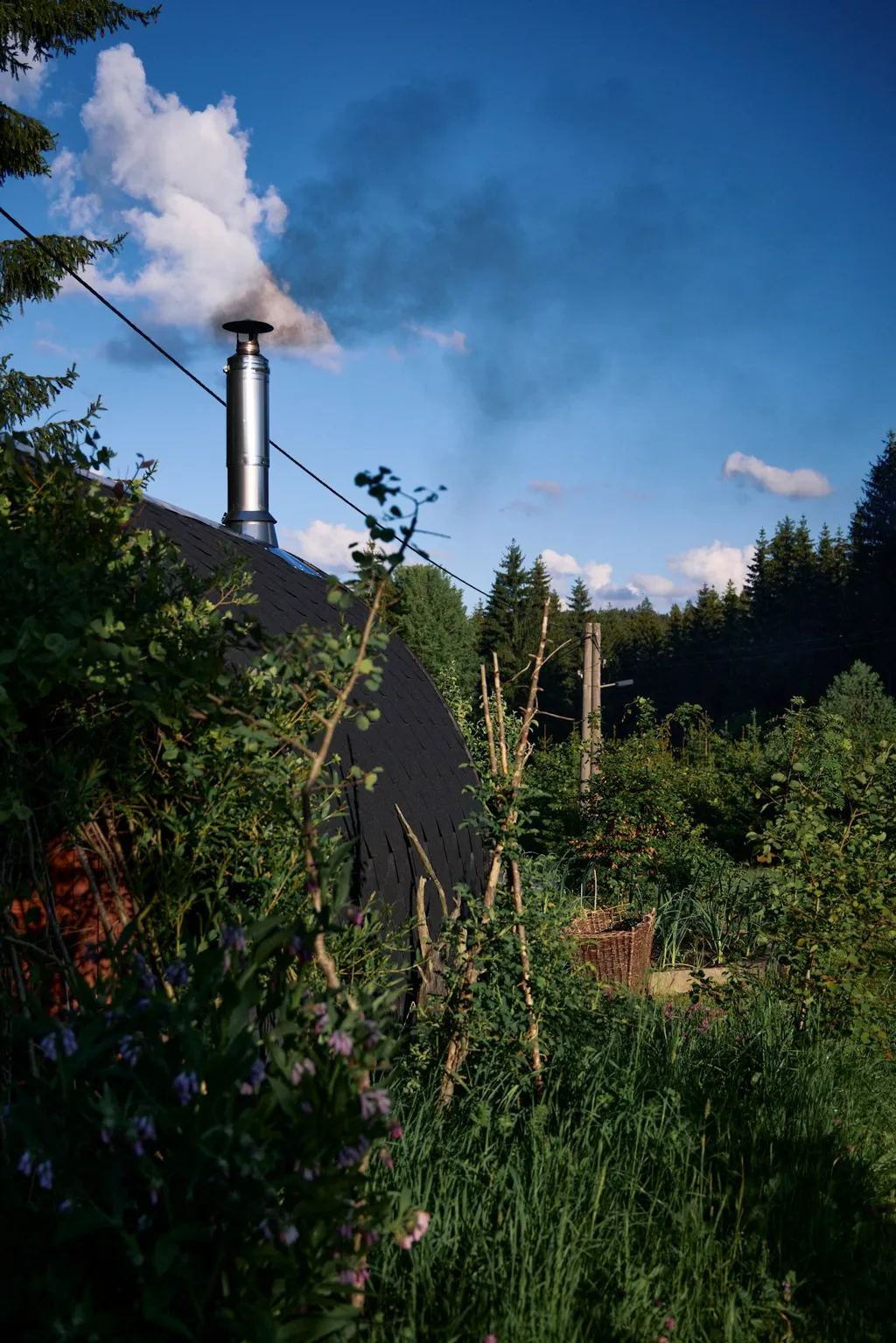 Blick ins Freie Stellplatz