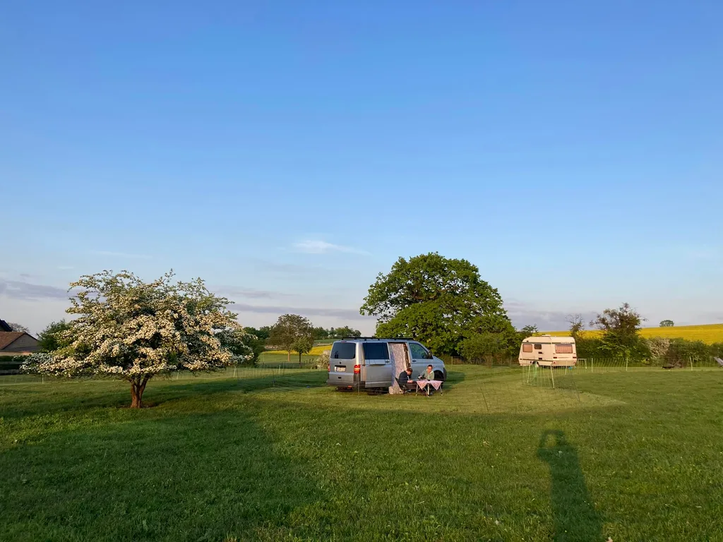 Campen wo die Heidschnucken leben