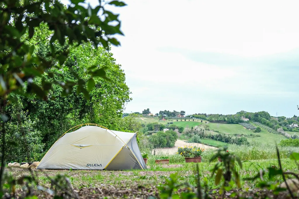 Camp gli Ulivi della Luca - Tenda