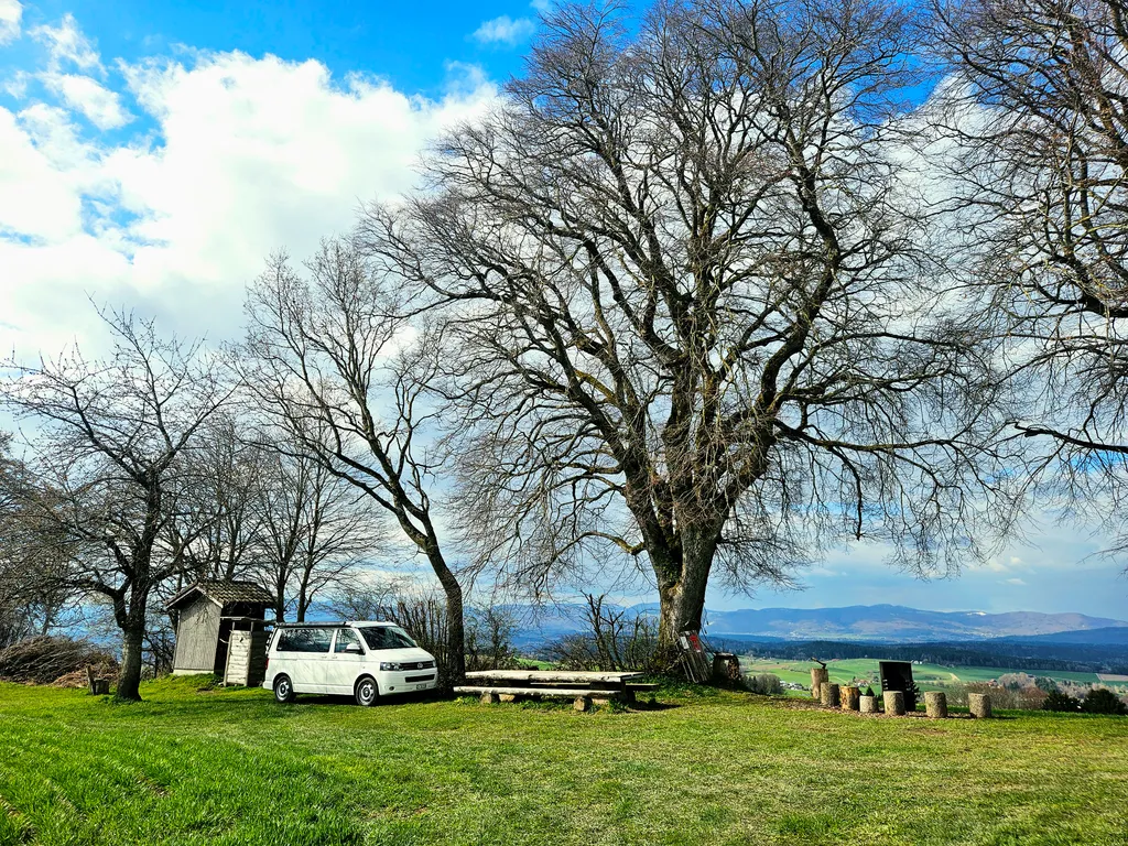 Bild von Petra für den Spot 351