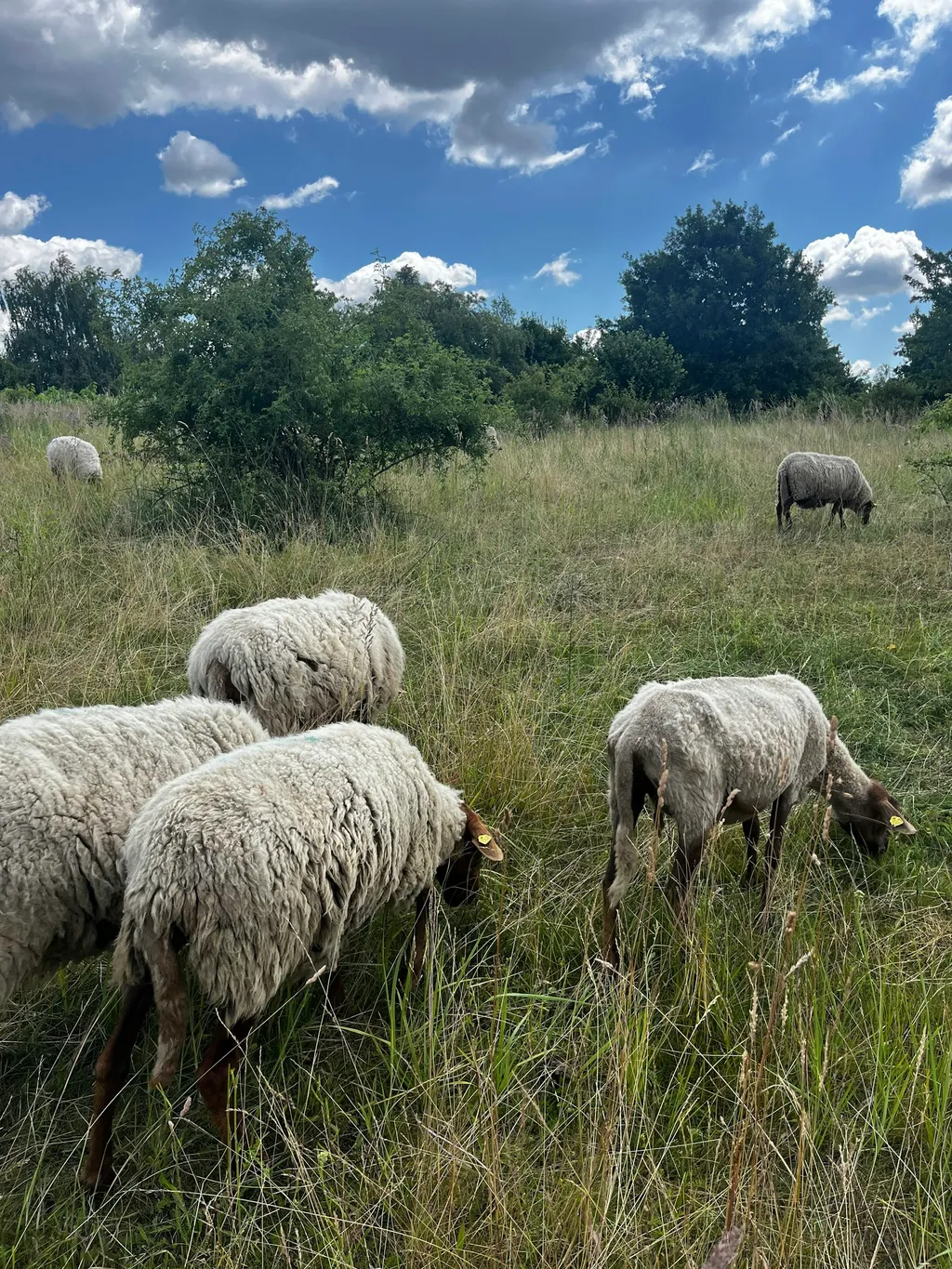 Profilbild von Elina