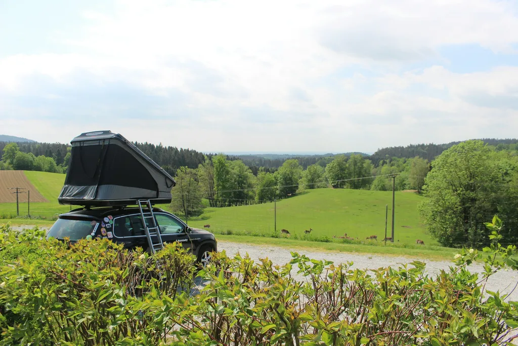 Hirschpark Camp Bayerischer Wald