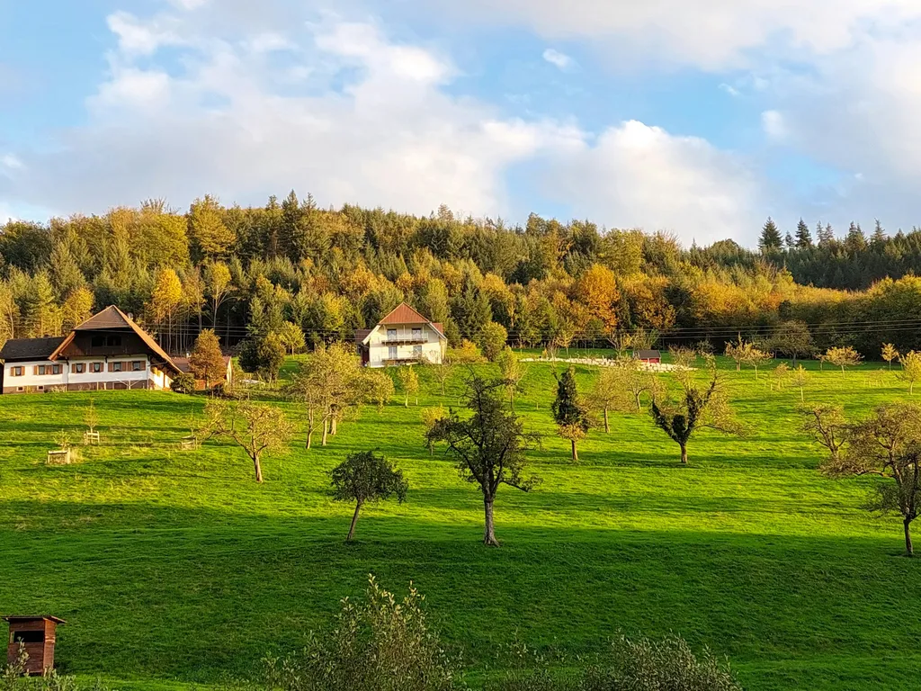 Hasenhof - Gengenbach/Schwarzwald