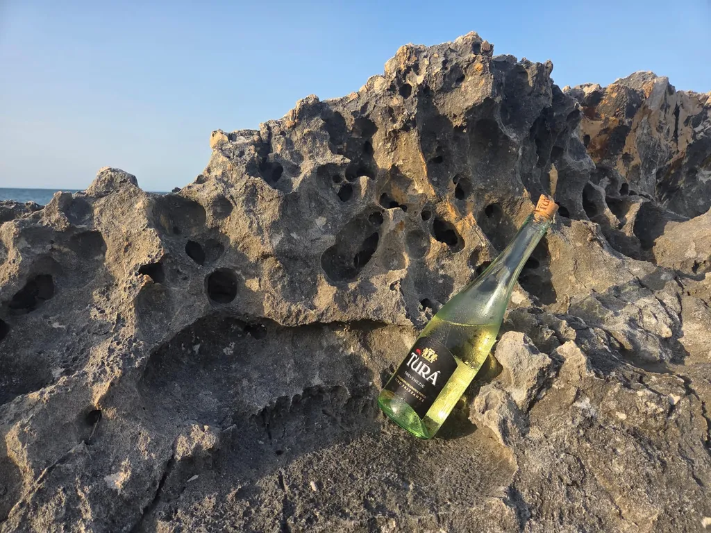 Bild von Claudia für den Spot 3551