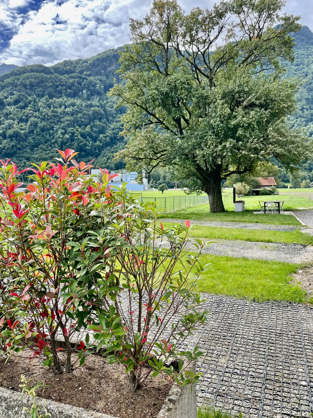 Camping auf dem Bauernhof im Glarnerland
