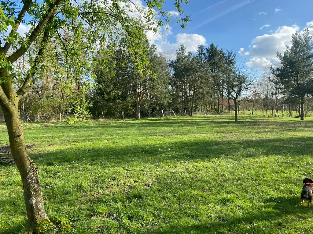 Wiese mit Teichblick