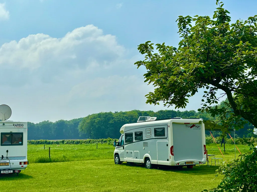 Peaceful quiet spot near forest