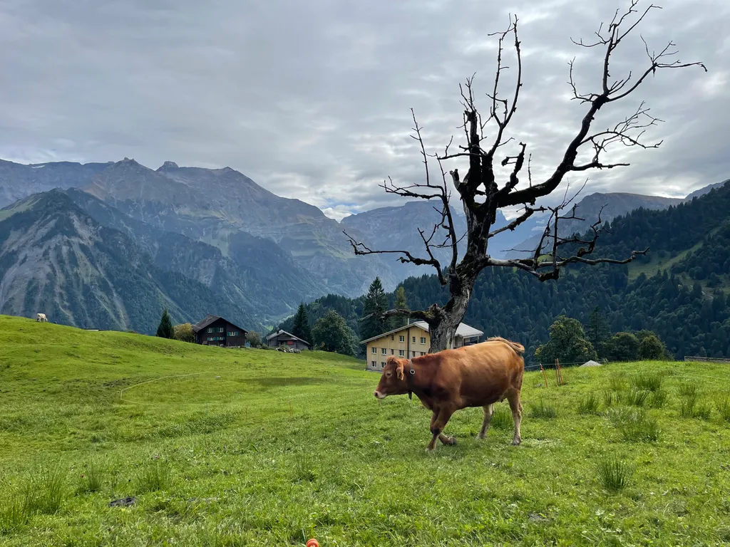 Bild von Michaela für den Spot 119