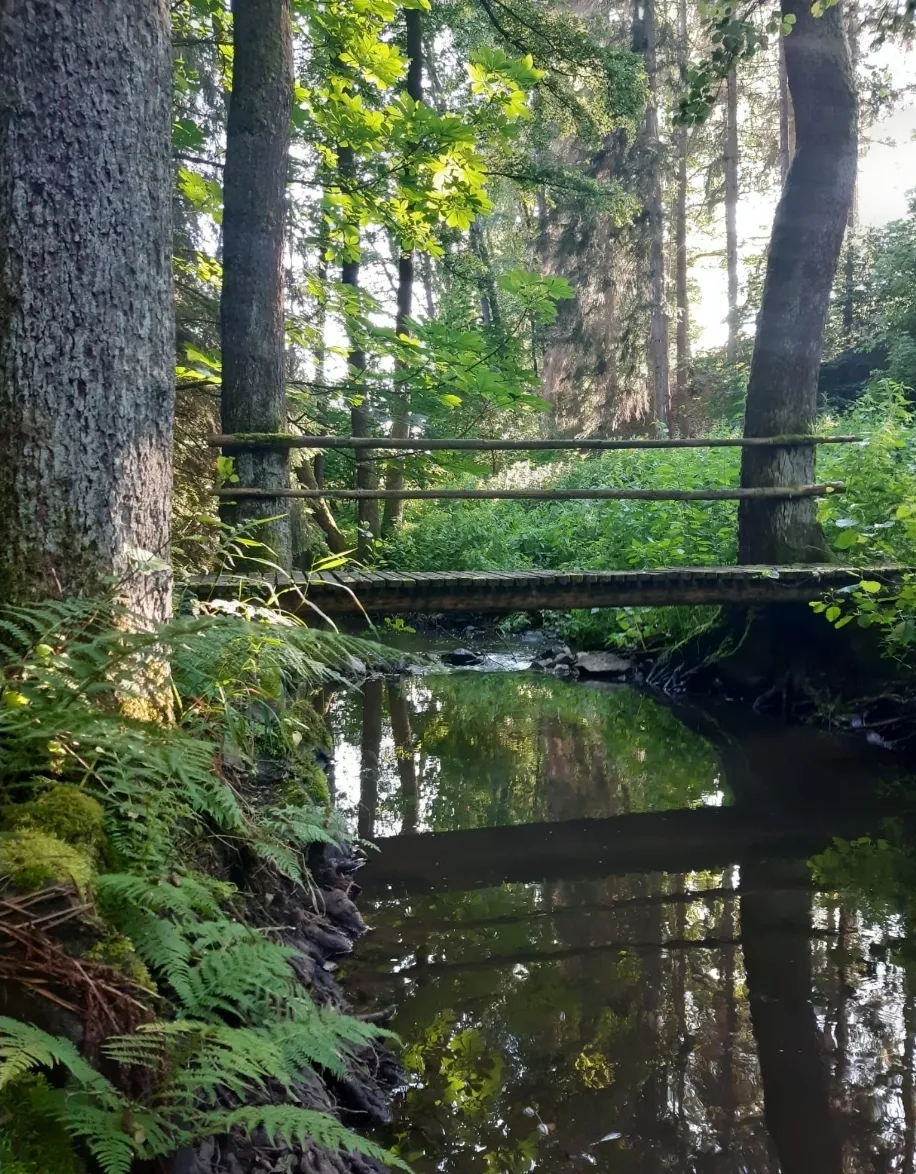 Gielerhütte - der Natur ganz nah