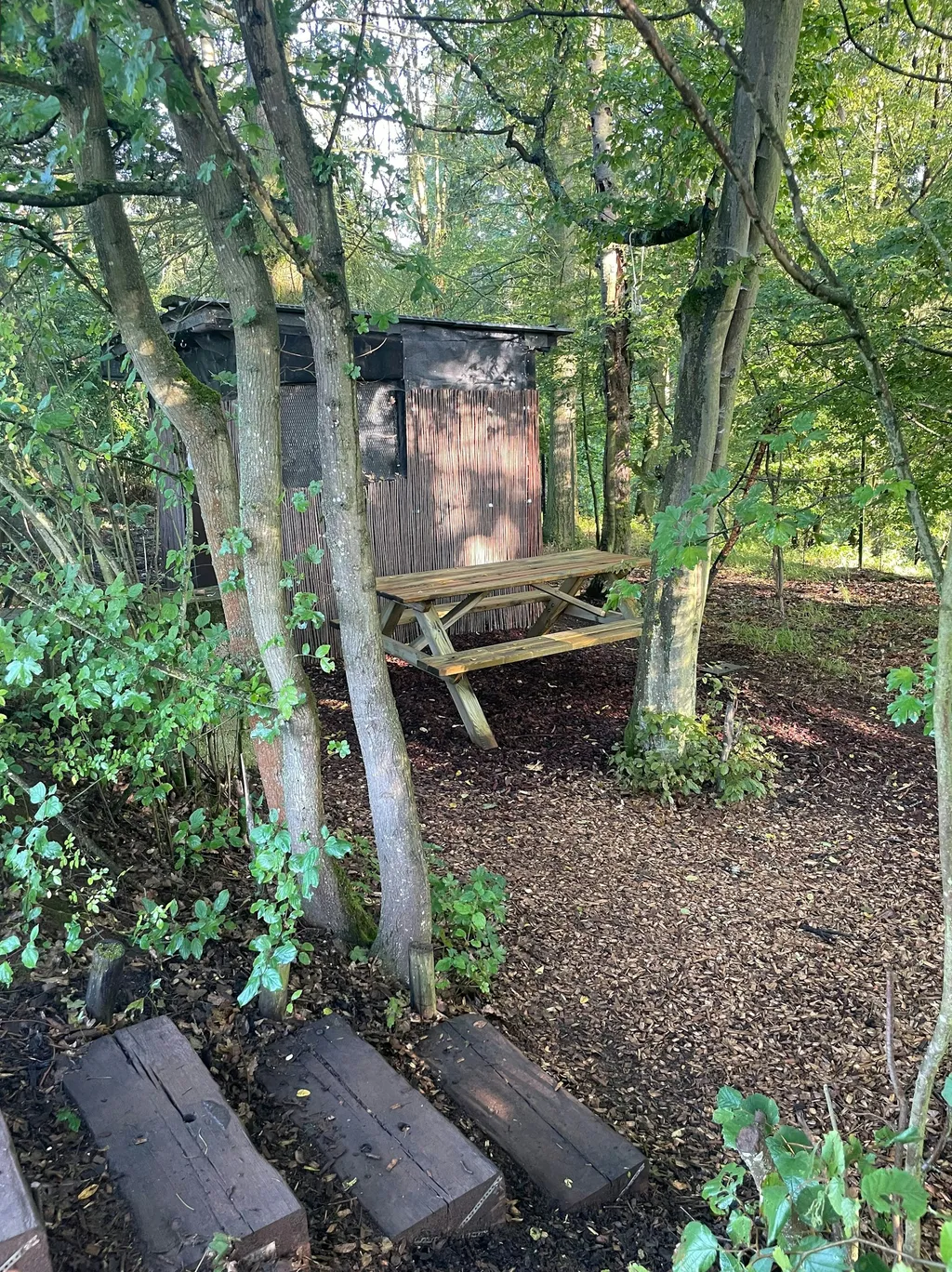 Picknick-Platz im Wald