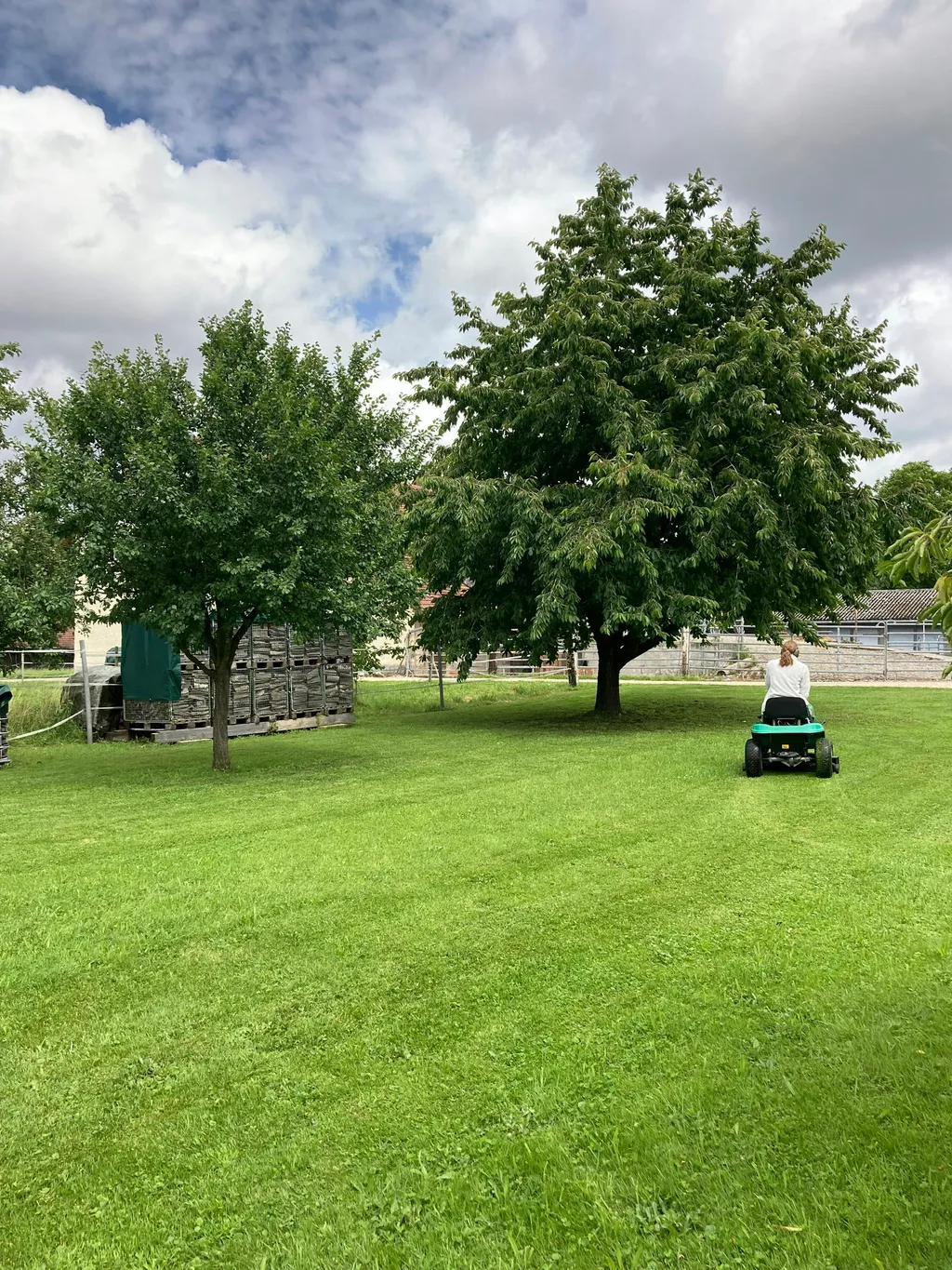 Campingwiese mit Bäumen