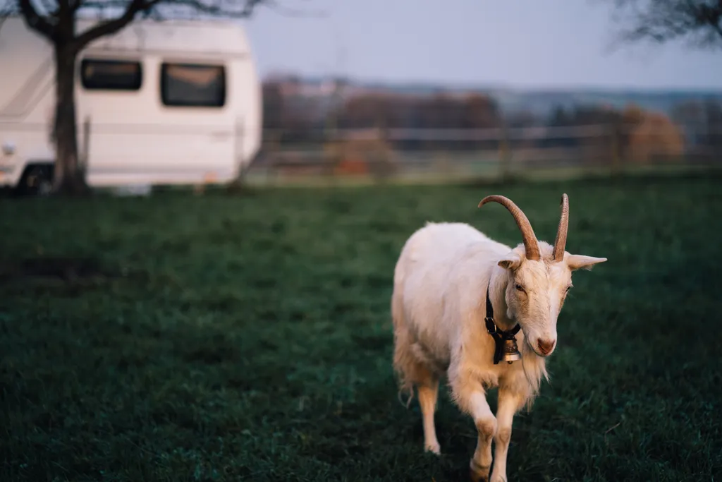 Bild von Mattias für den Spot 197