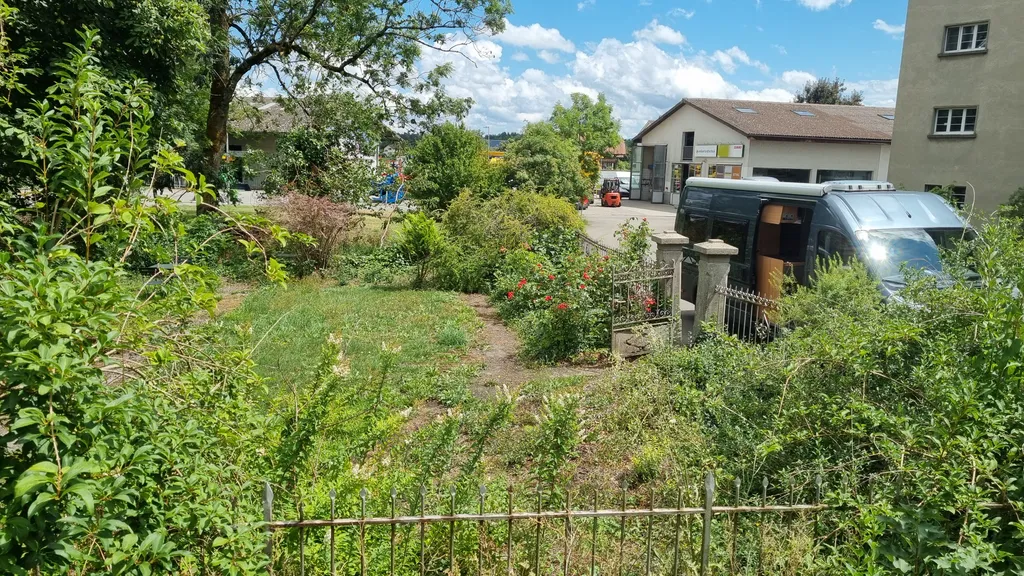 Blick auf Garten