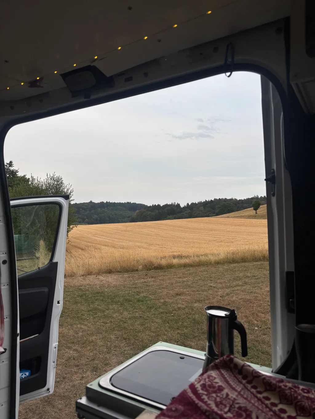 Bild von Carol für den Spot 3818