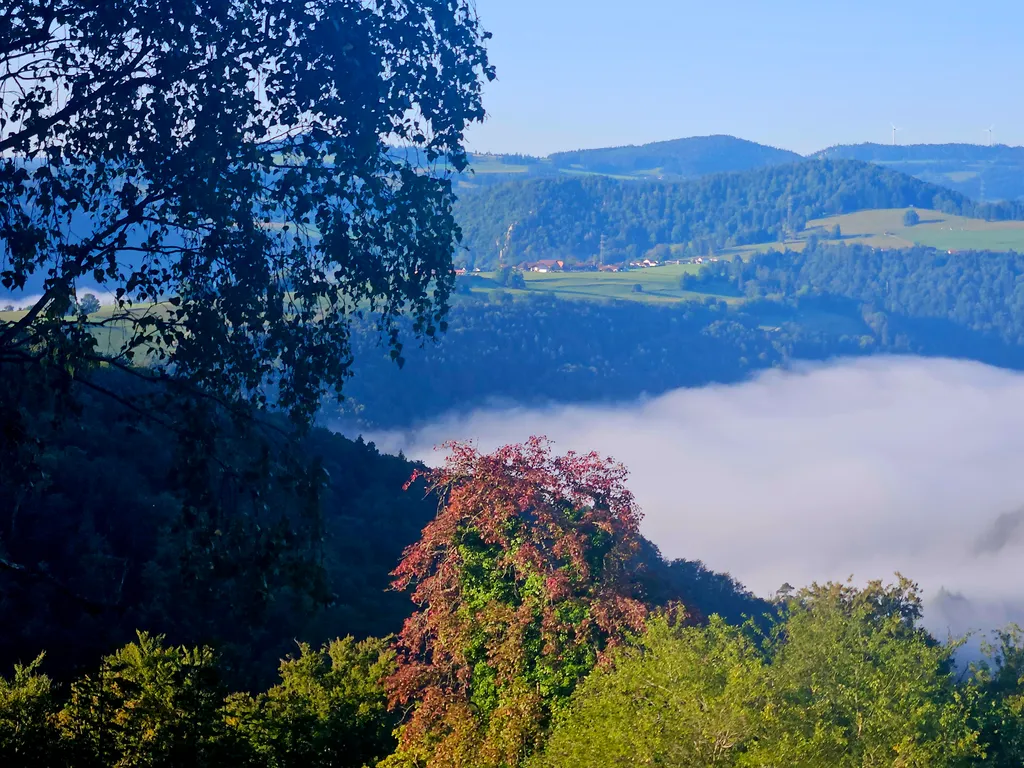 Bild von Cornelia für den Spot 935