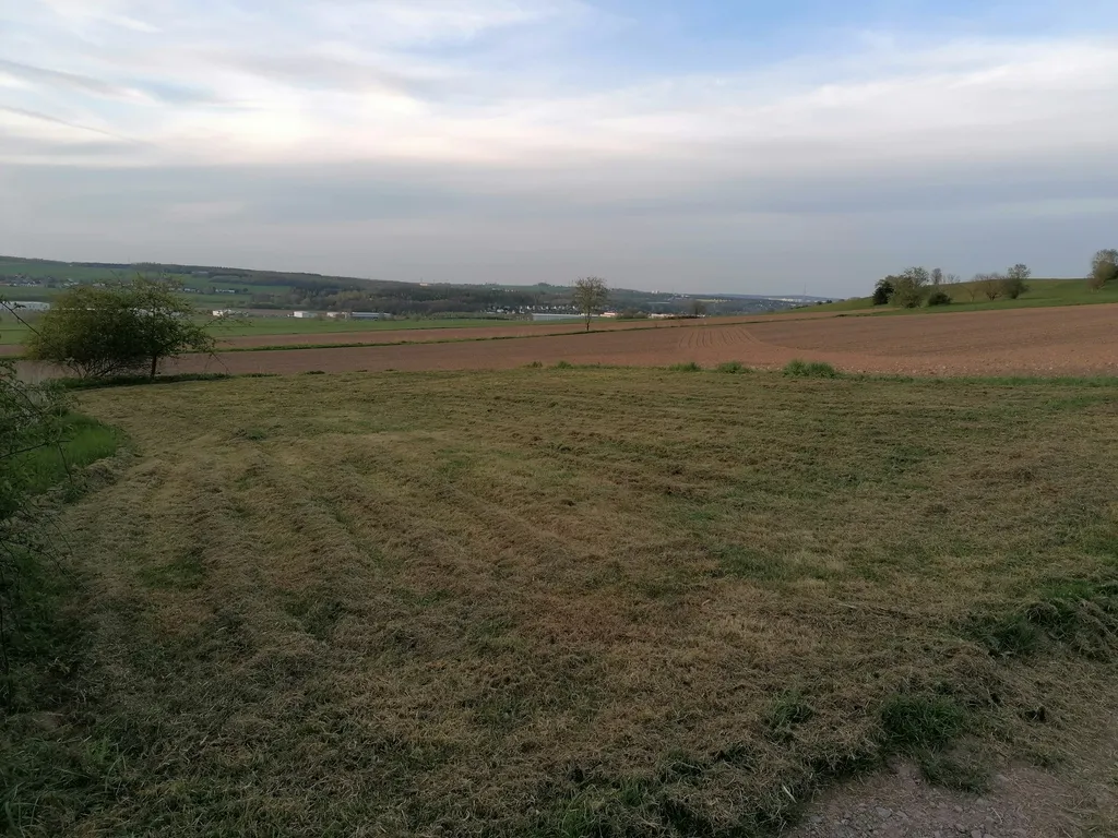 Ruhige Wiese im Grünen