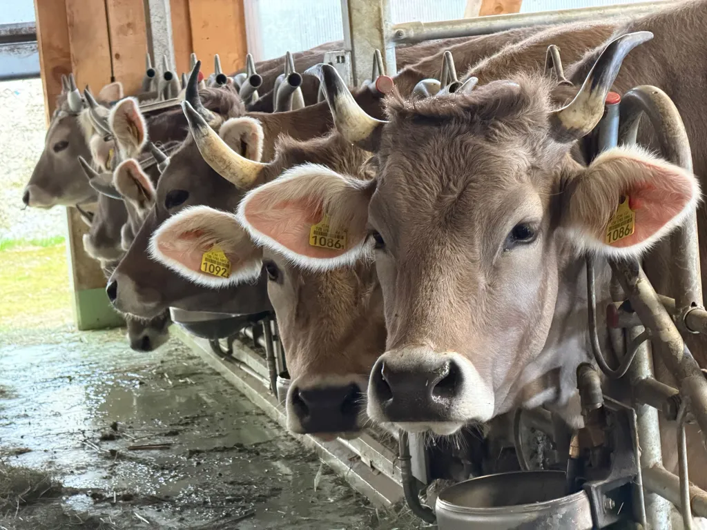 Bild von Dustin für den Spot 4431