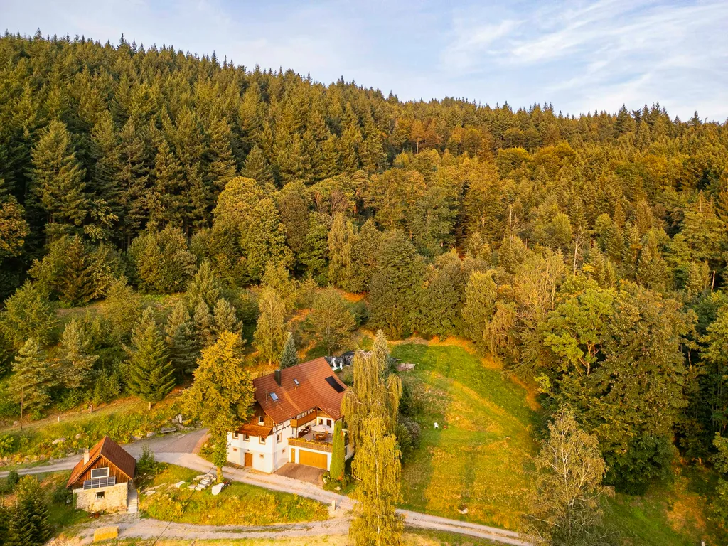 Stellplatz mit Grillmöglichkeit am Waldrand