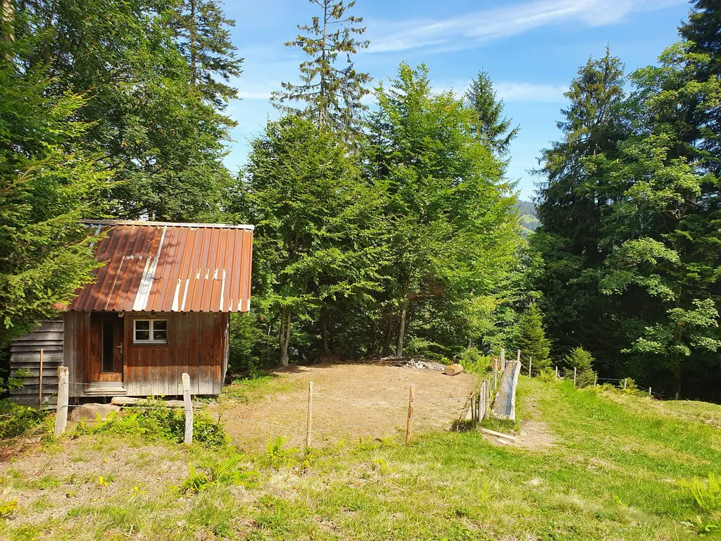 Camping bei der Jagdhütte