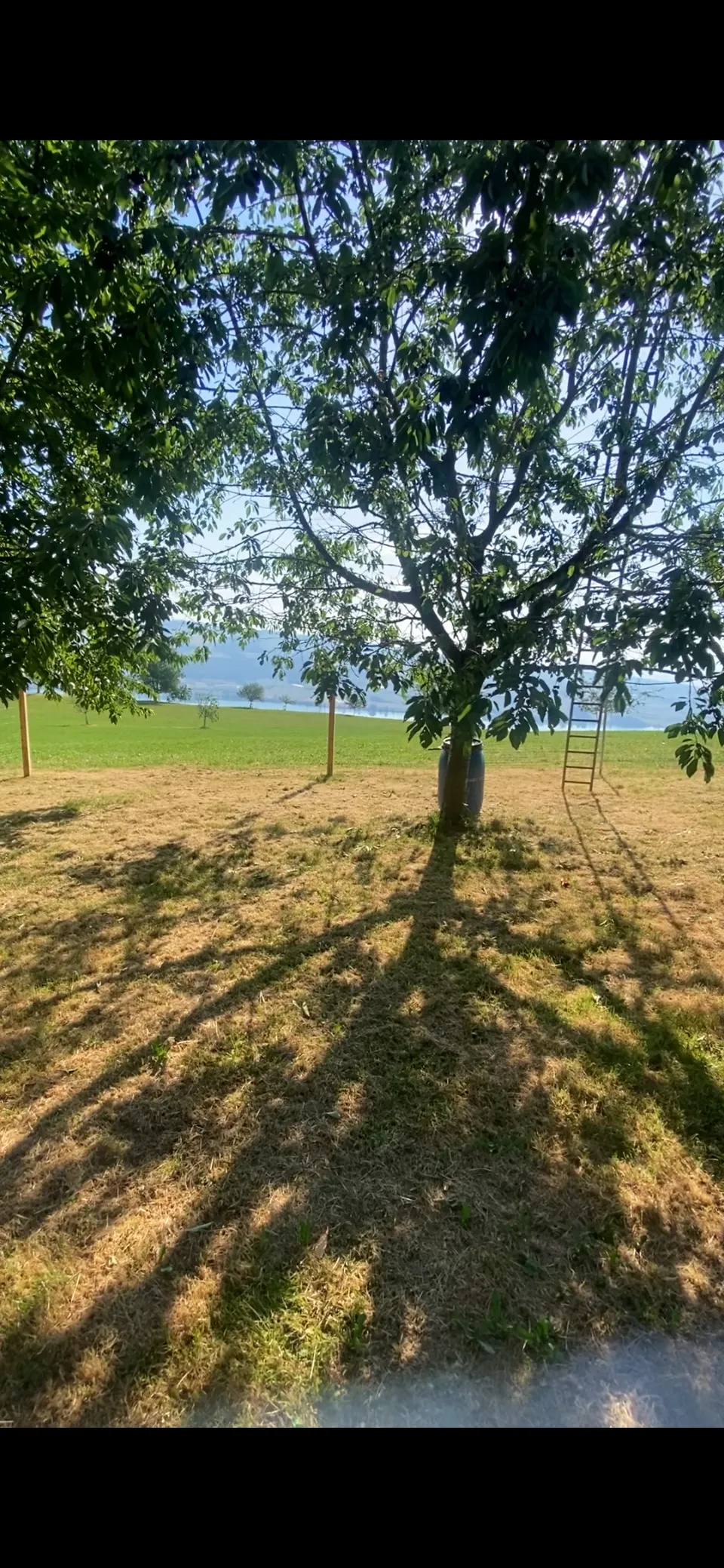 Seeblick & Idylle: Sicherer Wiesenstellplatz