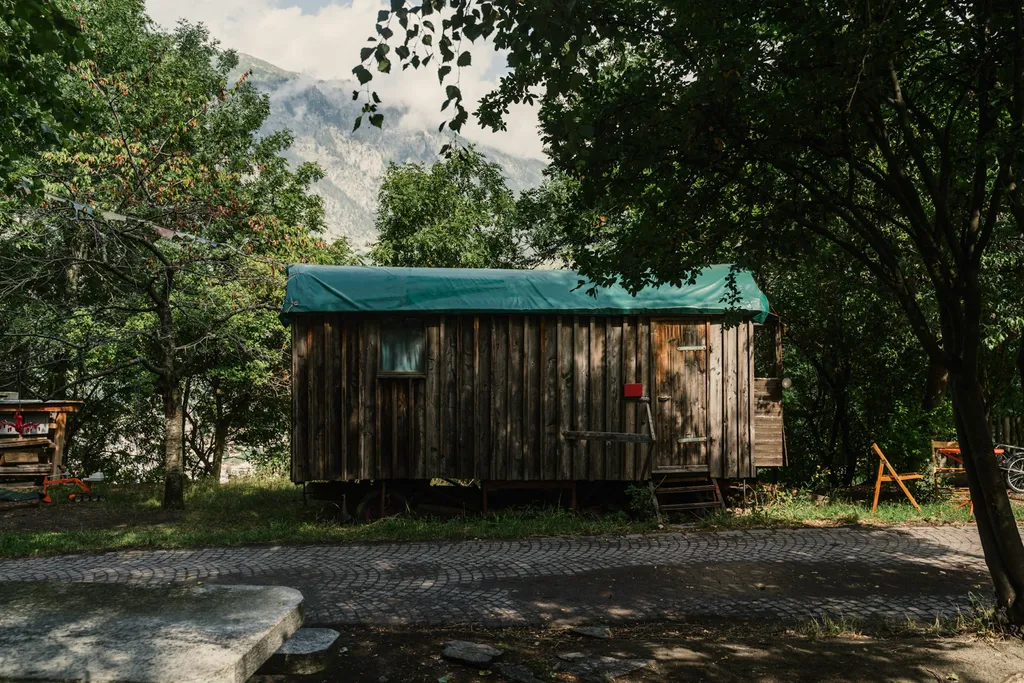 Zwischen Holunder und Zwetschge