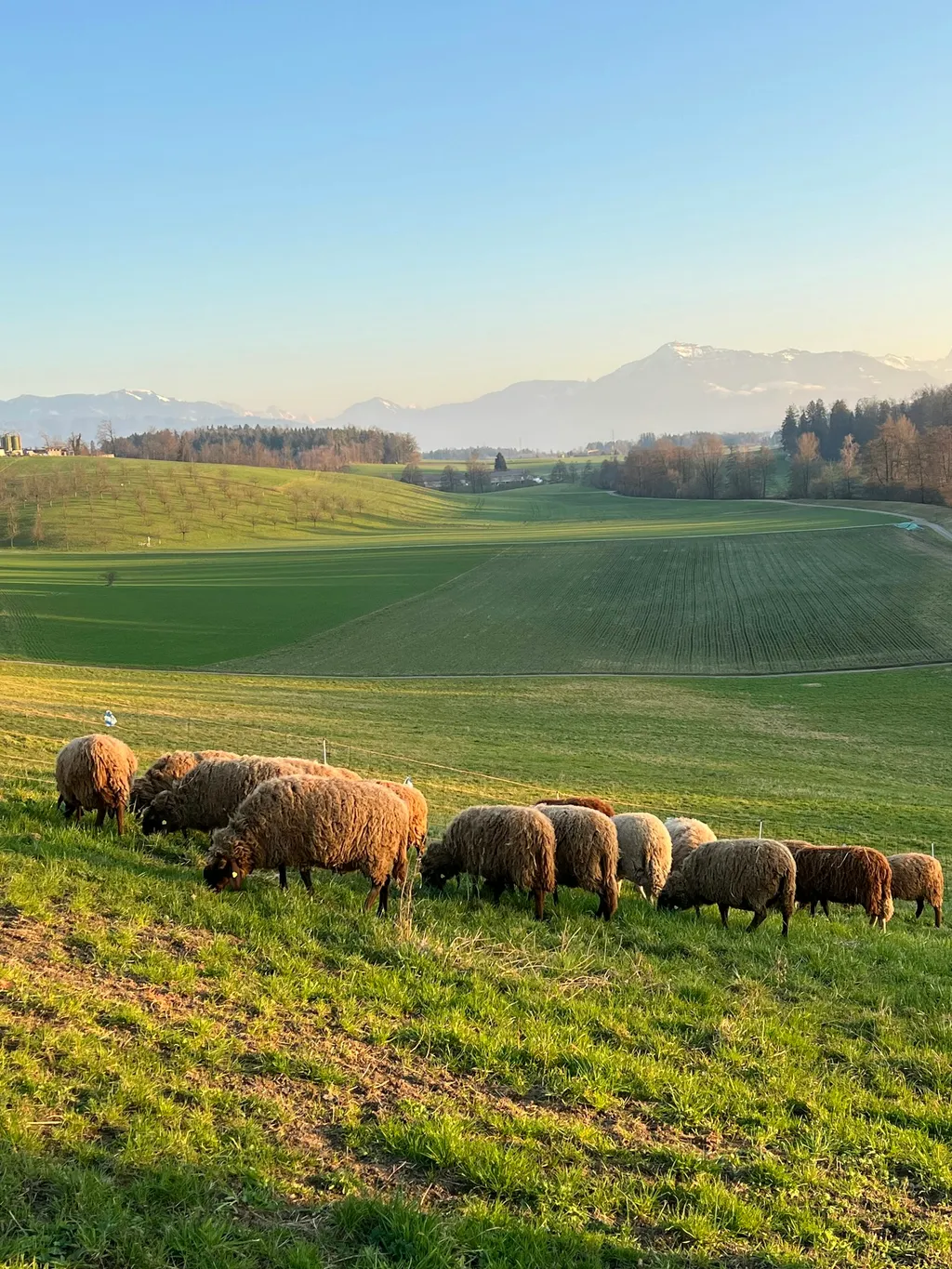 Entschleunigen und Genießen