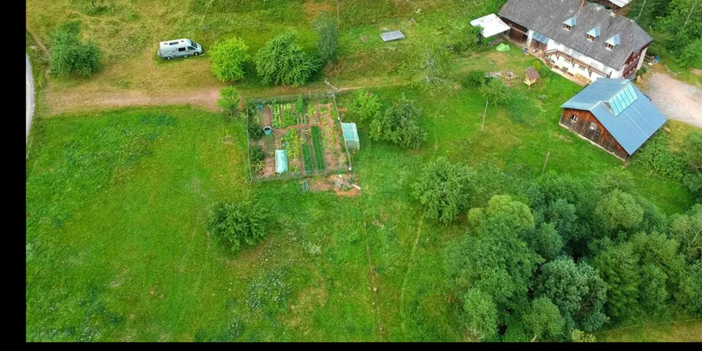 Wiesen zwischen Waldrand und Bach