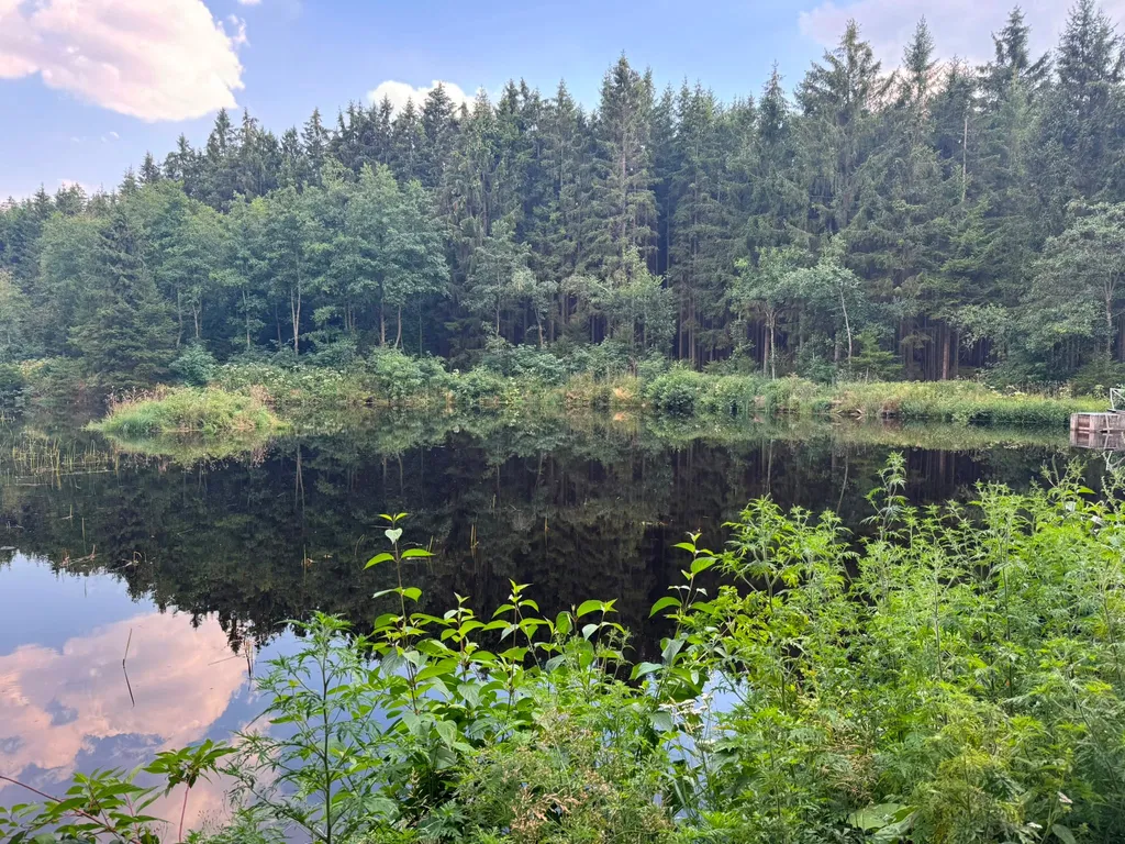 Campen am alten Fischteich