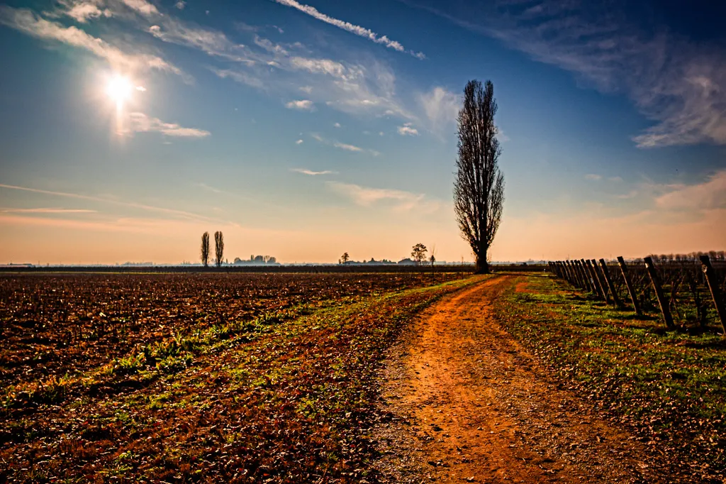 Il fascino della campagna a Corte Spinelle