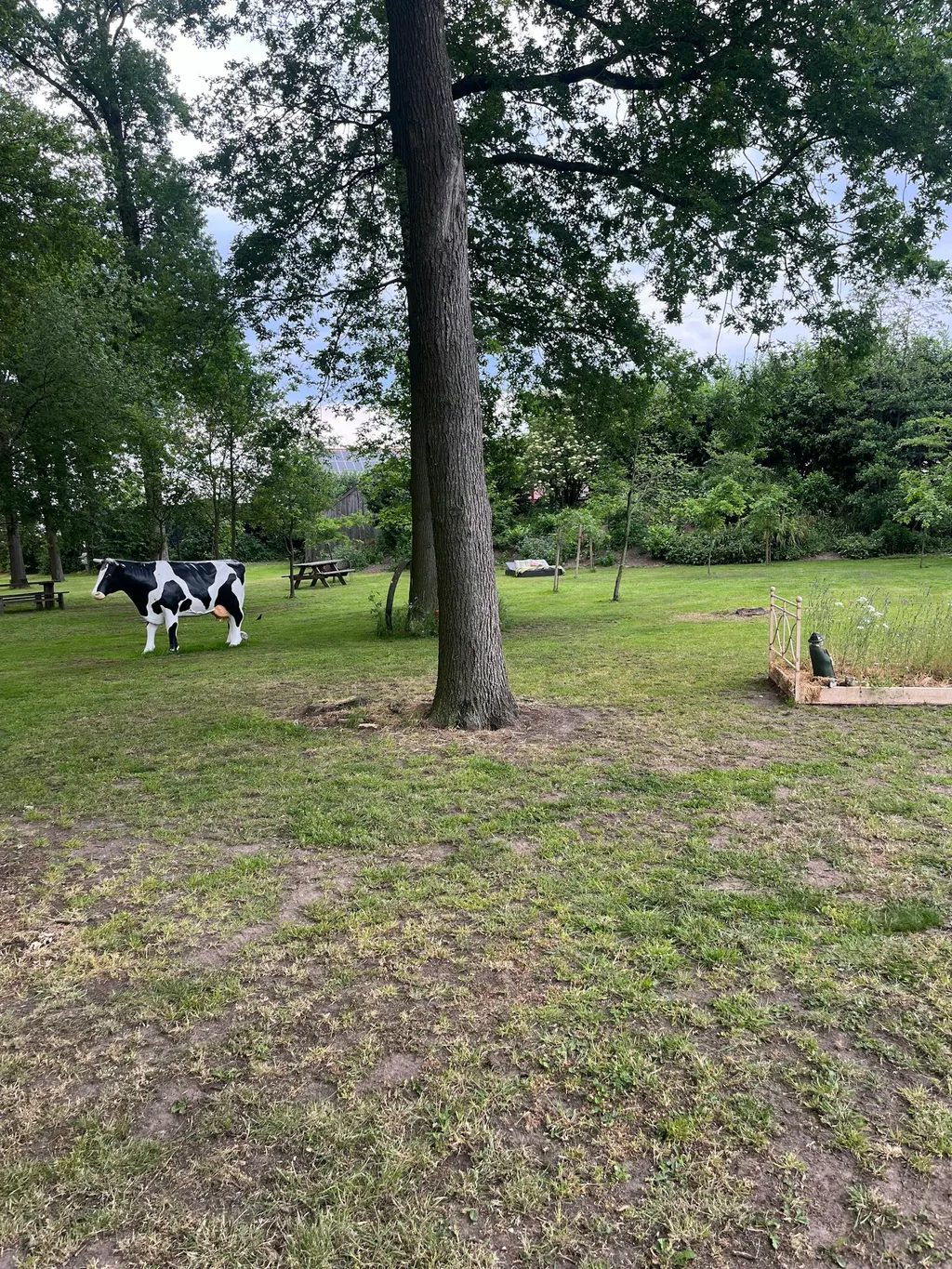 Stellplatz im Eichenwald