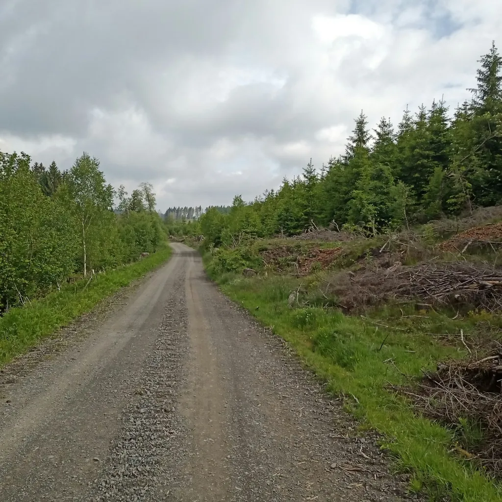 Profile picture of Peter