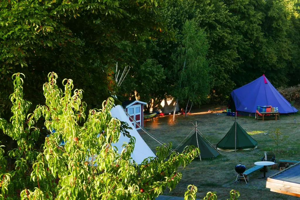 Gemütliche Wiese mit alten Bäumen