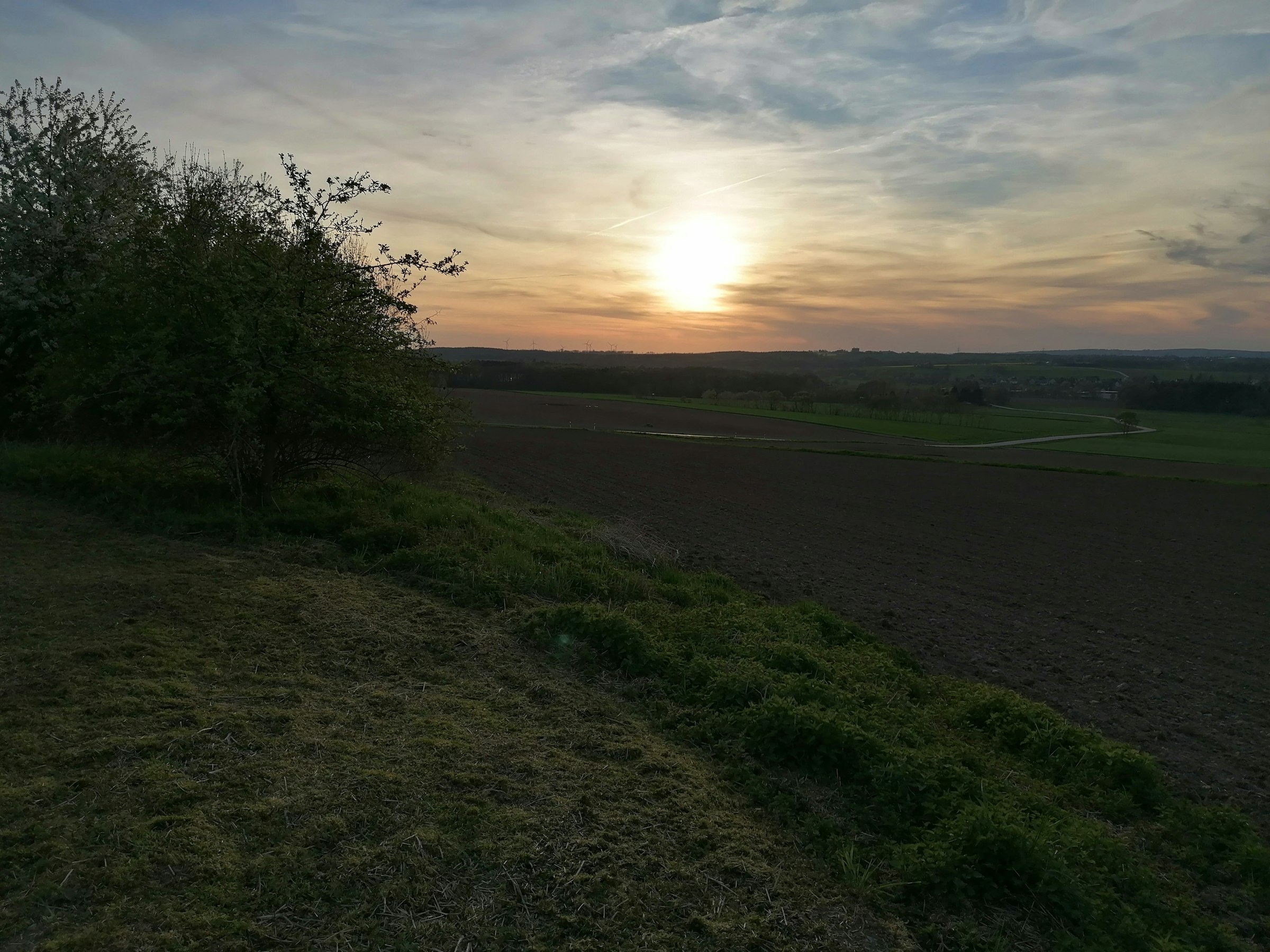 Ruhige Wiese im Grünen