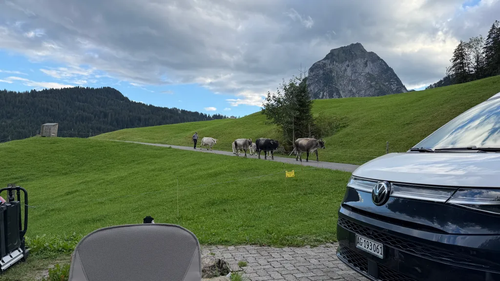 Bild von Felice für den Spot 313