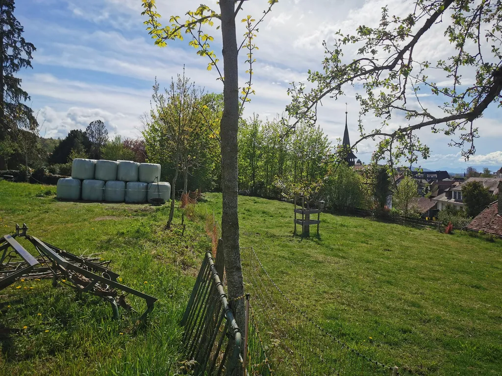 Biohof Hübeli Hofstatt