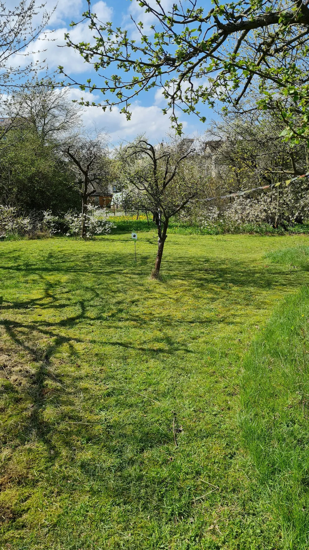 Natur, Kunst und Kultur im Weimarer Land