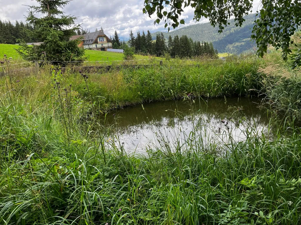 Sonniger Stellplatz im Zirbenland