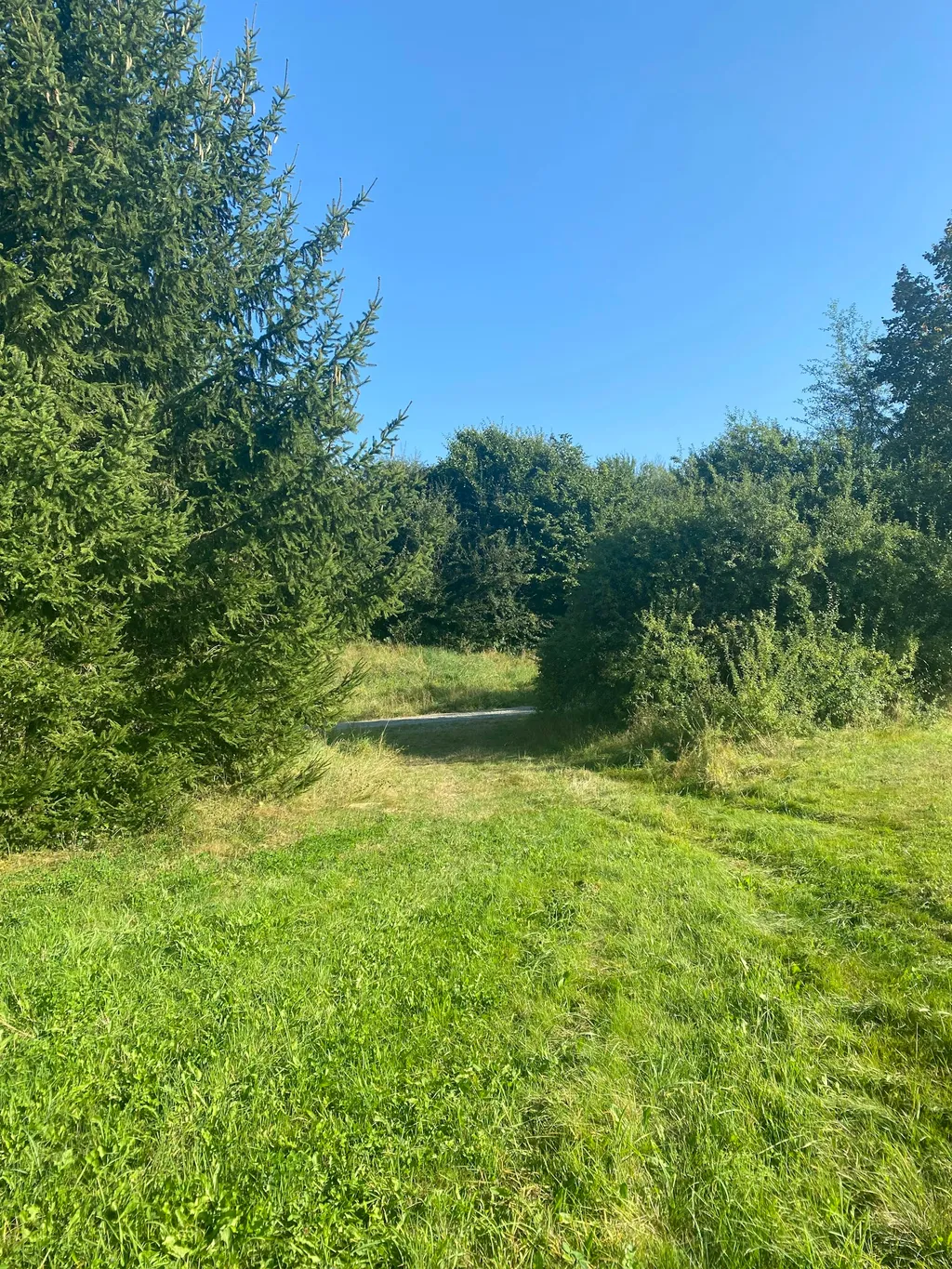 Camping am Lindenbaum