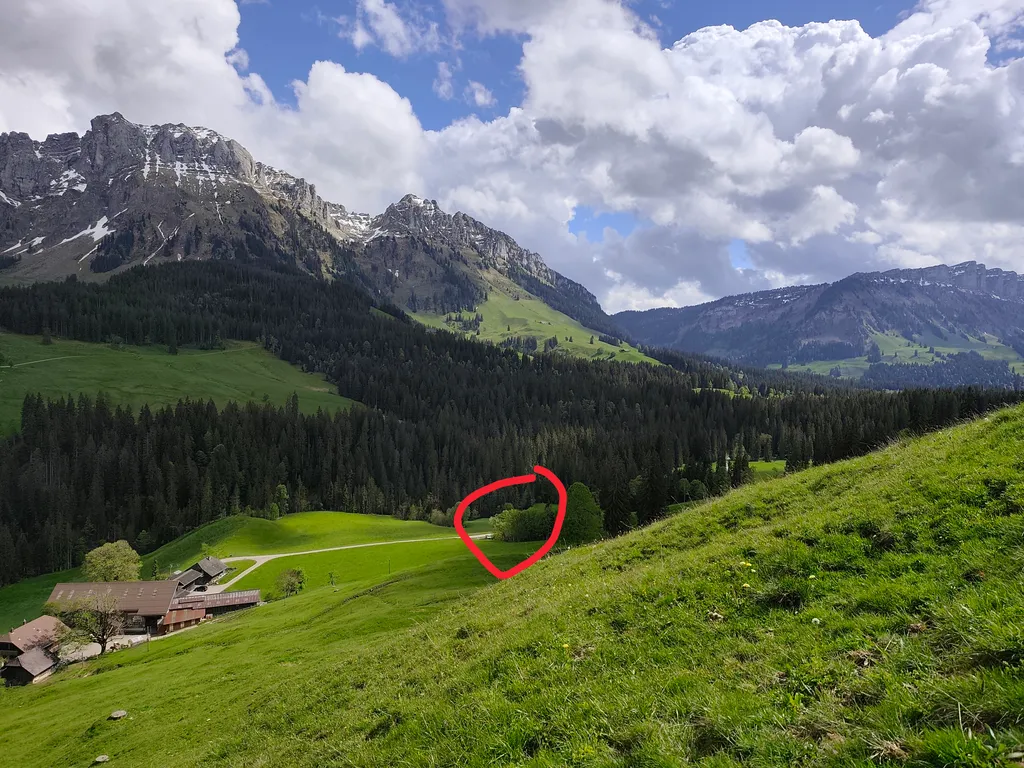 Bödelihof - Bergbauernhof, Bergsicht, im Grünen