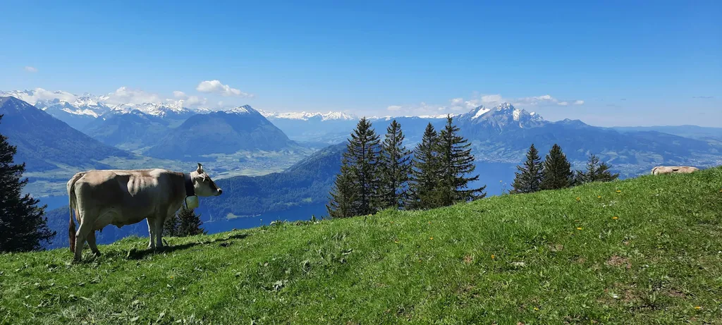 Oase des Glücks in Weggis