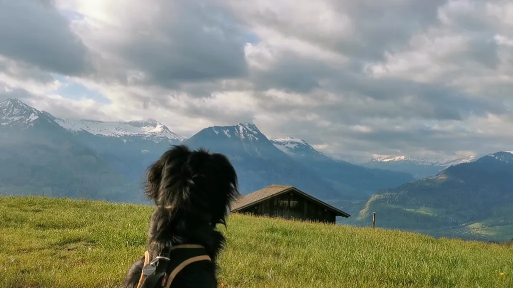 Bild von Mara für den Spot 635