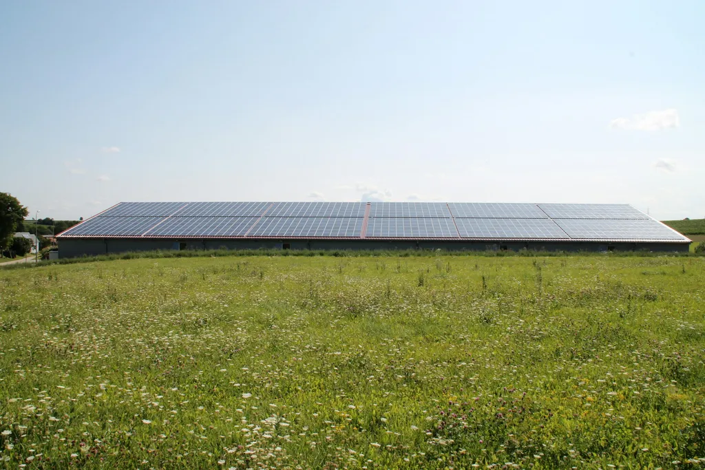 Stellplatz auf der Grünen Wiese
