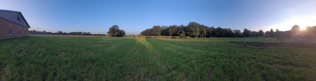 Stellplatz bei den Hochlandrindern