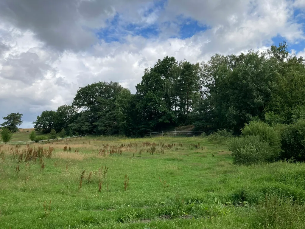 Erholung im Pferdeland